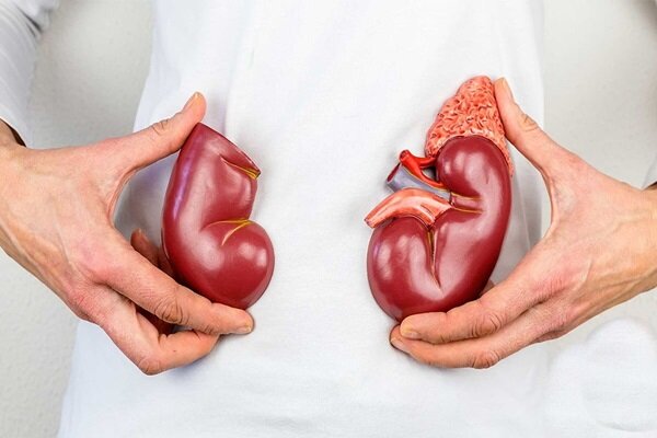 گرمای هوا و کم‌آبی بدن، خطری خاموش برای کلیه ها